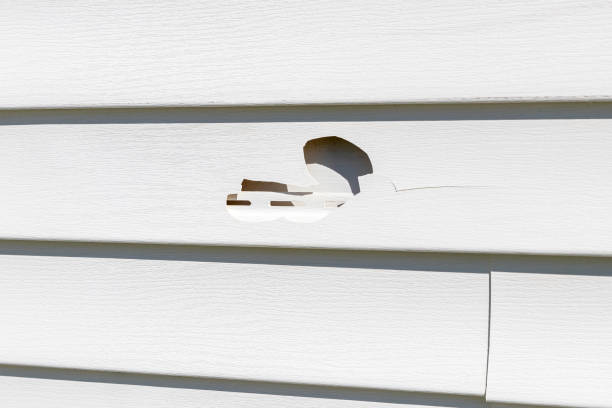 Best Vinyl Siding Installation  in Bosque Farms, NM